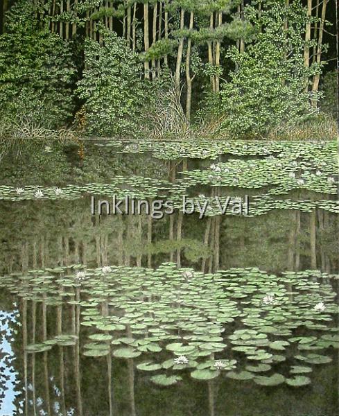 Lilies of the Lake.jpg - 18 3/4in x 22in matted and framed:$2.200USD : \This is the second image of lilies on a lake that I have done. The first one was much smaller. This one took me nearly six months to complete. The lilies were a challenge to keep laying on the surface of the water while still allowing the reflections to stretch out. The pop of blue sky grounds this image for me.